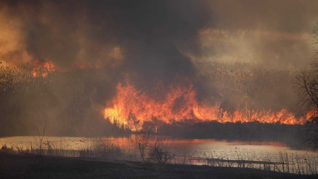 Bomberos exhaustos combaten el mayor incendio del verano francés mientras las autoridades evalúan solicitar ayuda europea ante la magnitud del desastre.